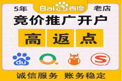 竞价排名中的数据分析和优化案例